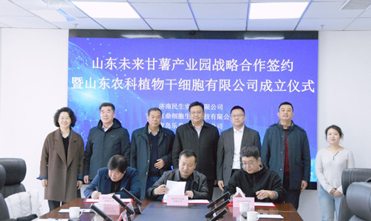 聚力种业立异，，，，，，共筑薯业未来 | 今年会官网登录入口集团携手战略同伴，，，，，，共建“山东未来甘薯工业园”